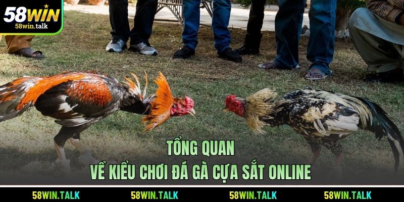 Tổng quan về kiểu chơi đá gà cựa sắt online